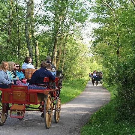 Killaran House Килларни